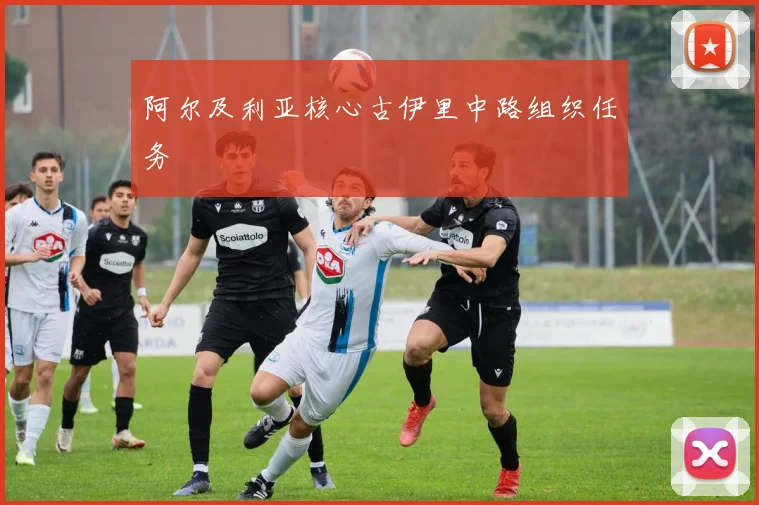 阿尔及利亚核心古伊里中路组织任务