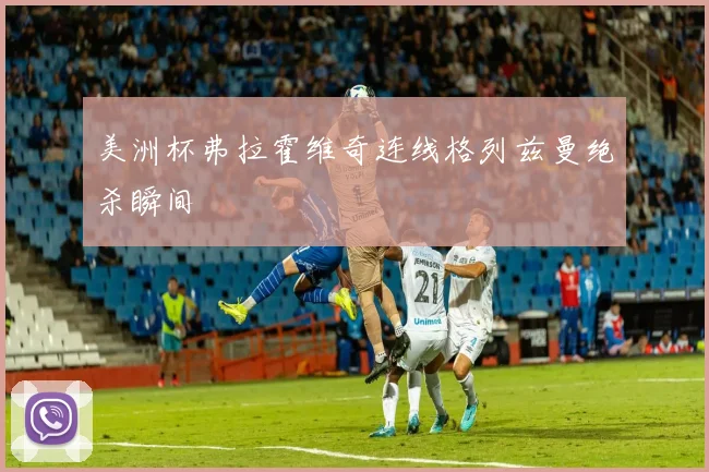 美洲杯弗拉霍维奇连线格列兹曼绝杀瞬间