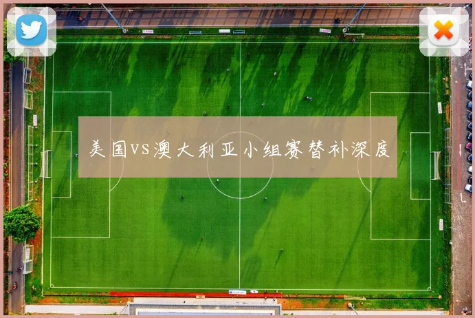美国vs澳大利亚小组赛替补深度