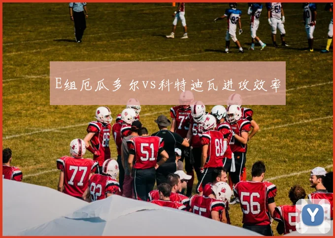 E组厄瓜多尔vs科特迪瓦进攻效率
