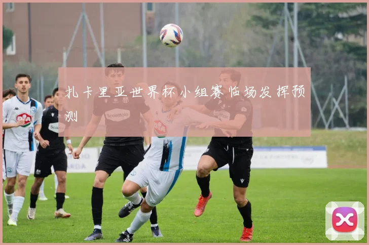 扎卡里亚世界杯小组赛临场发挥预测