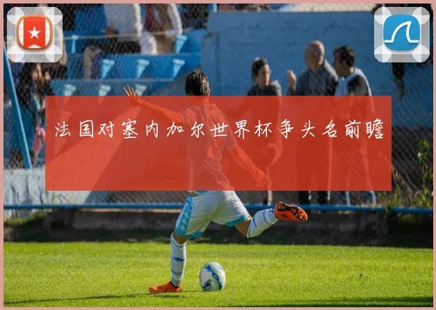 法国对塞内加尔世界杯争头名前瞻