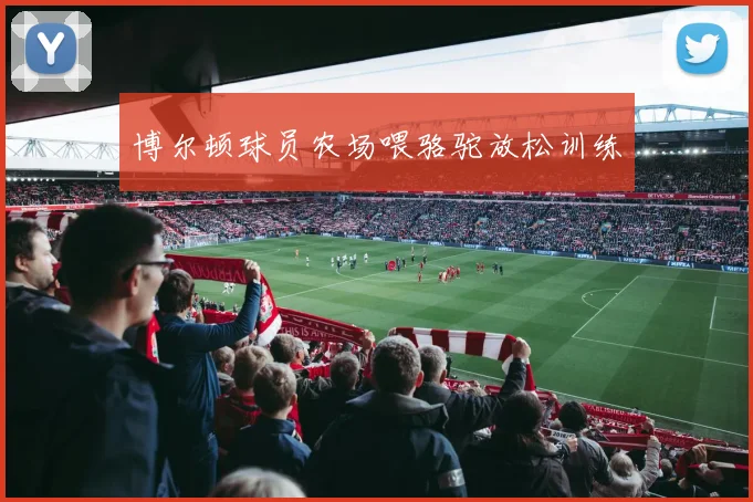 博尔顿球员农场喂骆驼放松训练
